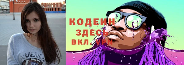 МДПВ Инсар