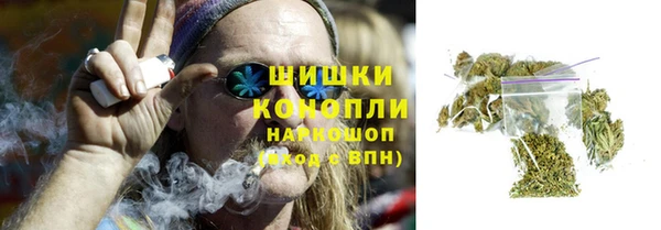 МДПВ Инсар