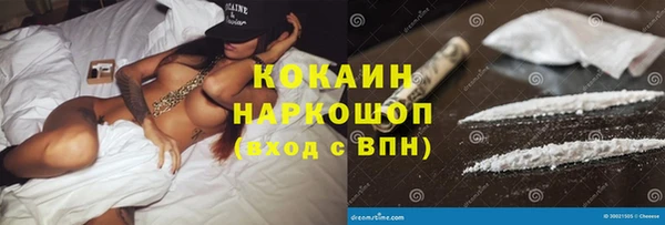 МДПВ Инсар
