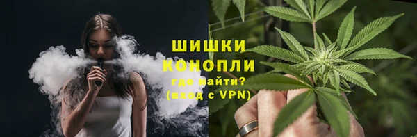 МДПВ Инсар