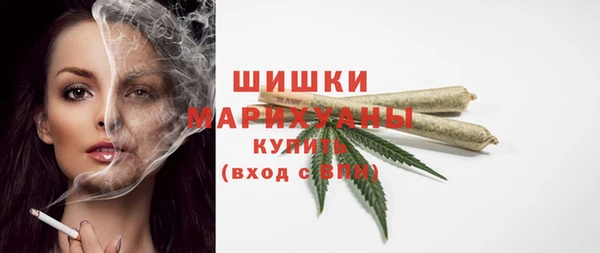 МДПВ Инсар