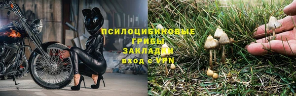 МДПВ Инсар