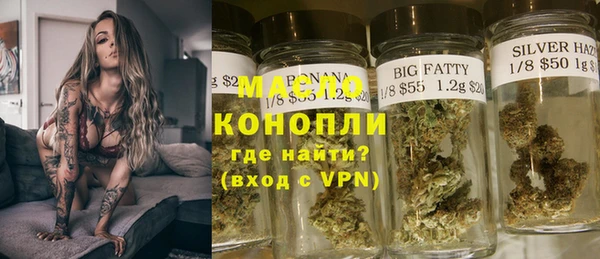 МДПВ Инсар