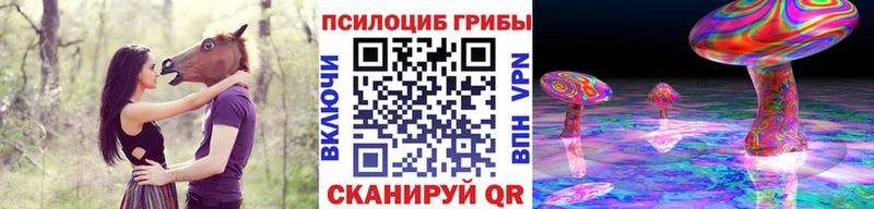 Купить  Боровичи  Псилоцибиновые грибы Cubensis 